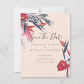 Moderne FOTO Bewaar data Pampasgras Tropisch (Voorkant)