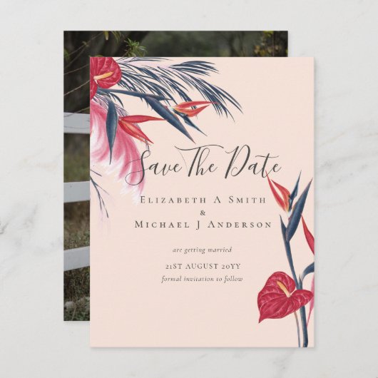 Moderne FOTO Bewaar data Pampasgras Tropisch (Voorkant / Achterkant)