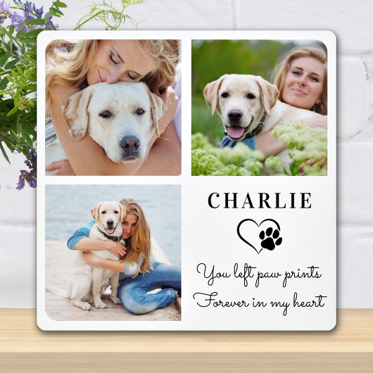 Moderne foto-Collage Custom Pet Dog Memorial Fotoplaat