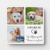 Moderne foto-Collage Custom Pet Dog Memorial Fotoplaat (Voorkant)