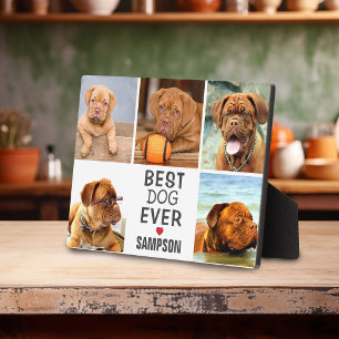 Moderne foto-collage van de beste hond ooit   Huis Fotoplaat