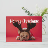 Moderne foto met achterkant groeten Vakantiekaart Feestdagenkaart (Staand voorkant)