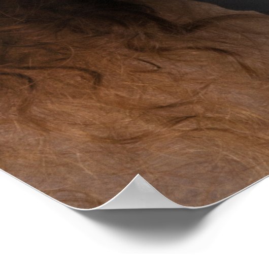 Moderne foto overlay Congrats Afstudeerder 2025 Af Poster (Hoek)