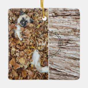 moderne fotocollage-fotohond keramisch ornament