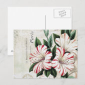 moderne franse amarylis briefkaart (Voorkant / Achterkant)