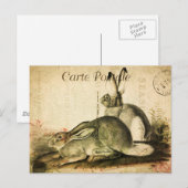Moderne  Franse konijnen, collage Briefkaart (Voorkant / Achterkant)