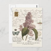 moderne  Franse Lilacs Briefkaart (Voorkant / Achterkant)