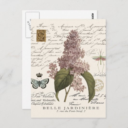 moderne  Franse Lilacs Briefkaart (Voorkant / Achterkant)