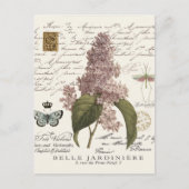 moderne Franse Lilacs Briefkaart (Voorkant)