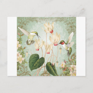 Moderne  Franse mensvogels Briefkaart
