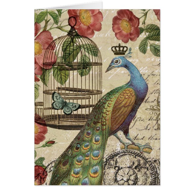 moderne  franse pauw (Voorkant)