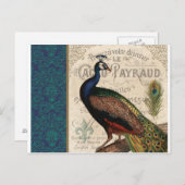 moderne franse pauw briefkaart (Voorkant / Achterkant)