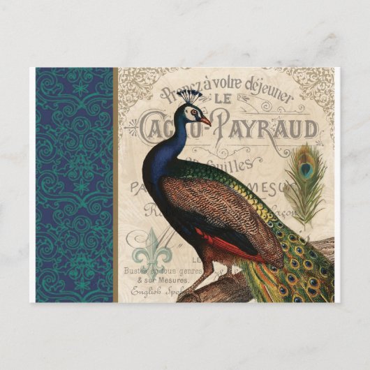 moderne franse pauw briefkaart (Voorkant)