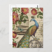 moderne  franse pauw briefkaart (Voorkant / Achterkant)