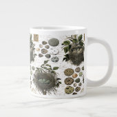 Moderne Franse vogelnesten en eitjes Extra Grote Mok (Rechts)