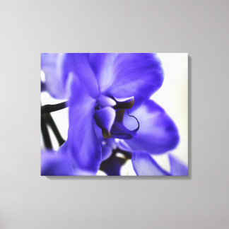 Moderne Galerij Canvas – Elegante Kunst Afdruk