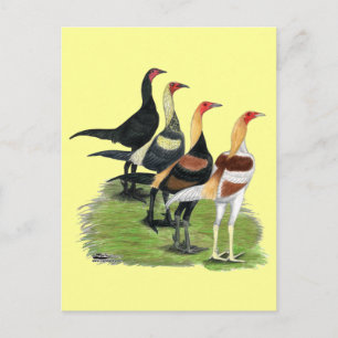 Moderne Game Hanen Briefkaart