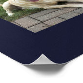 Moderne gefotografeerde gepersonaliseerde collage  poster (Hoek)