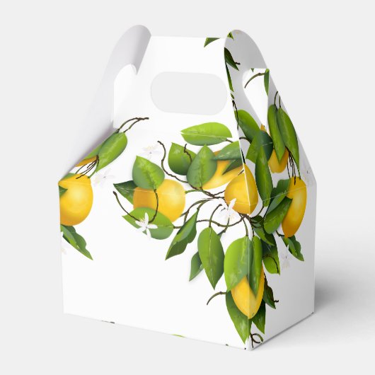 Moderne, gele en groene lemonvruchten | Weddenscha Bedankdoosjes (Achterkant)