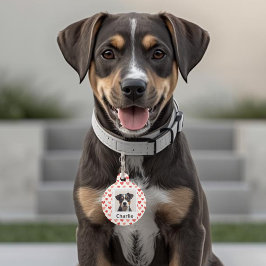 Moderne Gepersonaliseerde Valentijn Hondenpenning Huisdierpenning