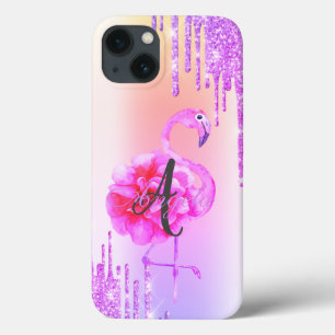 Moderne glitterschijven, Ombre, Monogram, Flamingo iPhone 13 Hoesje