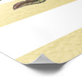 Moderne goudstrepen en roze Rozen, met een grote b Poster (Hoek)