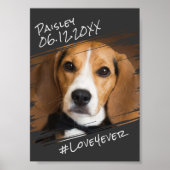 Moderne grafische elegant Simple Black Pet Dog Kee Poster (Voorkant)