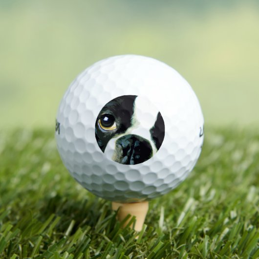 moderne grote Boston Terrier Golfballen (Insitu Shirt)
