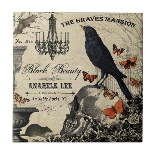 moderne  halloween kraai en schedel tegeltje (Voorkant)