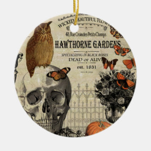 Moderne  halloween-uil en schedel keramisch ornament