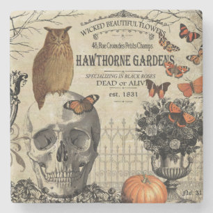 Moderne  halloween-uil en schedel stenen onderzetter