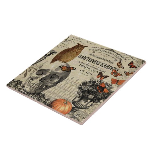 Moderne halloween-uil en schedel tegeltje (Zijkant)