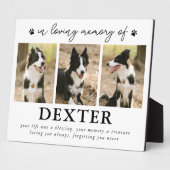 Moderne Herdenkingsplaquette voor Huisdierverlies  Fotoplaat (Zijkant)