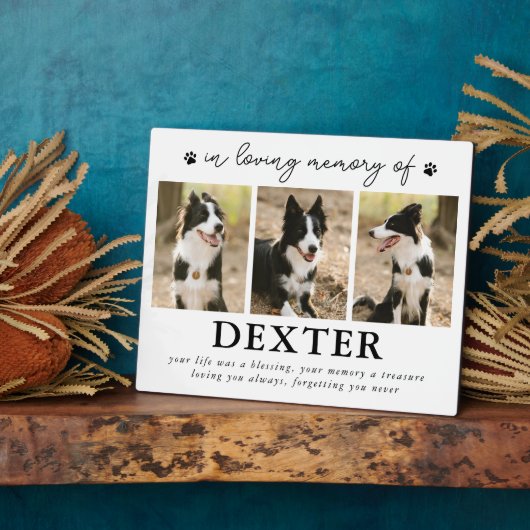 Moderne Herdenkingsplaquette voor Huisdierverlies  Fotoplaat (Zijkant)