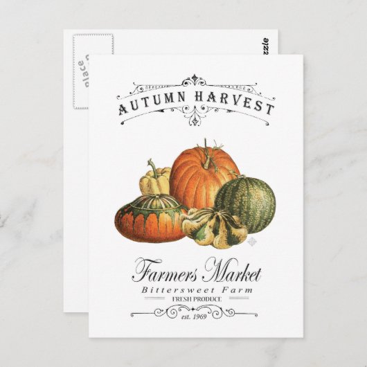 moderne herfst, pompoen en pompoen briefkaart (Voorkant / Achterkant)