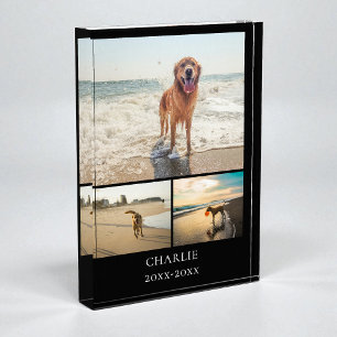 Moderne hond aandenken zwart gepersonaliseerd huis fotoblokken