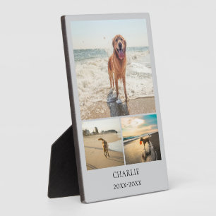 Moderne hond grijze gepersonaliseerde huisdiercoll fotoplaat