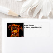 Moderne hondenkunst - Boxer Etiket (Insitu)