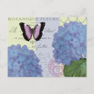 Moderne  hortensia en vlinder briefkaart