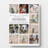 Moderne huisdier-herdenkingsfotocollageplaquette fotoplaat (voorkant)