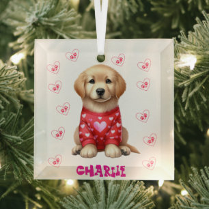 Moderne huisdierfoto gepersonaliseerde whimische h glas ornament