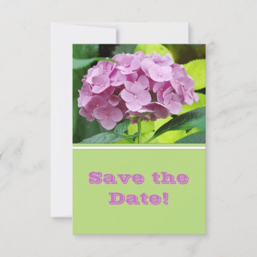 Moderne Hydrangea Save the Date Aankondiging (Voorkant)