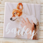Moderne Jouer Simple Élégant Chic Photo Pet<br><div class="desc">Ce design simple et classique est composé de typographie serif et d'ajouter une photo personnalisée de votre animal de compagnie.</div>