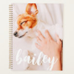 Moderne Jouer Simple Élégant Chic Photo Pet<br><div class="desc">Ce design simple et classique est composé de typographie serif et d'ajouter une photo personnalisée de votre animal de compagnie.</div>