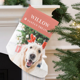 Moderne Kerstfoto Hond Kleine Kerstsok