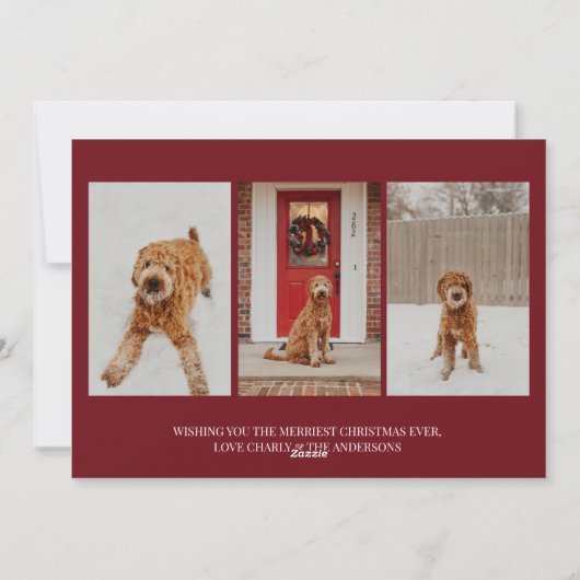 Moderne Kersthond Foto met Goud Feestdagenkaart (Achterkant)