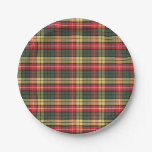 Moderne Kleurrijke Feestelijke Plaid Patroon Papieren Bordje