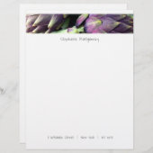 Moderne kleurrijke voeding briefhoofd (Voorkant / Achterkant)