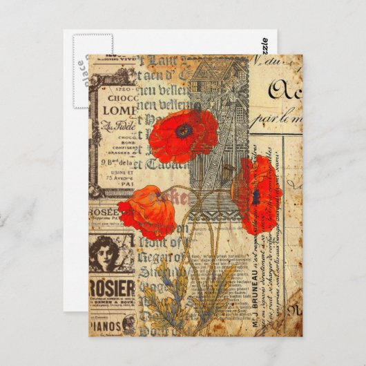 Moderne kraakbloem briefkaart (Voorkant / Achterkant)