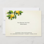 Moderne  Lemonvruchten | Weddenschap Bedankkaart (Achterkant)